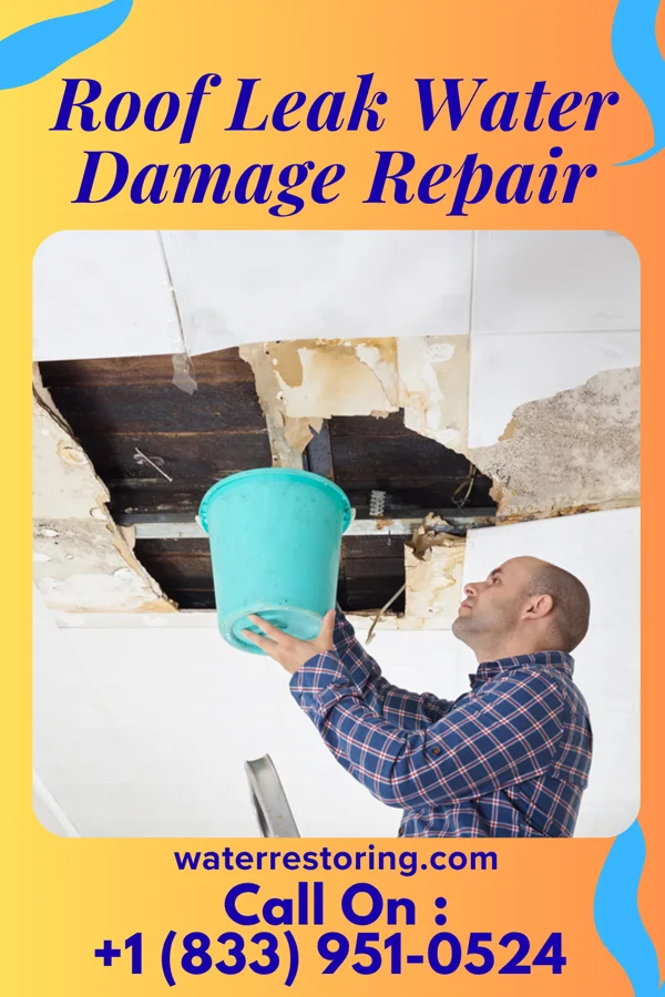 Roof Leak Water Damage Repair in Ashley, ND